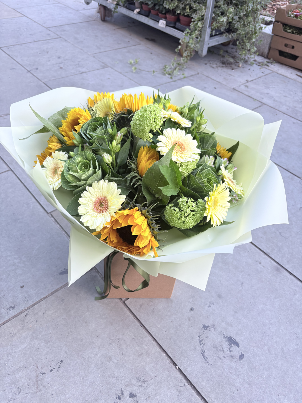 Sunflowers bush